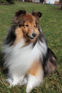 Gotta watch out for crazy birds!