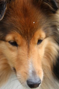 Imported Photos 00242