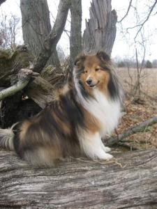 Don't hate me because I'm beautiful.