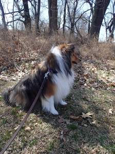 I'll wait right here.