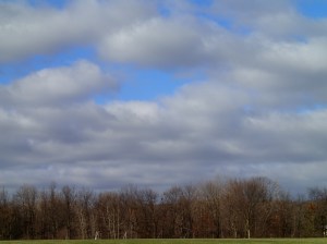 Sunshine arrives.  Finally.