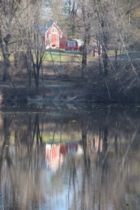 Hidden behind the pond.