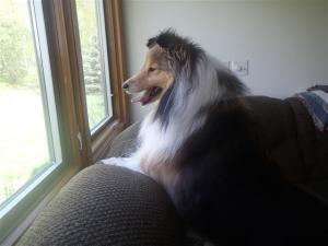 What's out there Mama?