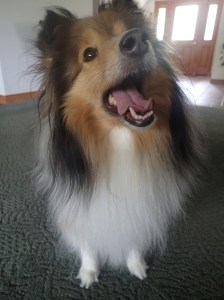 Hey Mama!   Hey Mama!