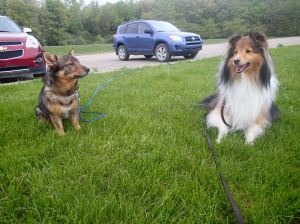 This was as close as we could get them.