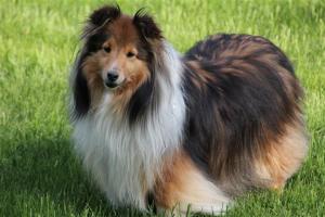 Imported Photos 00354 (Small)