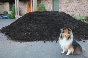 Compost mulch smells stinky good Mama!