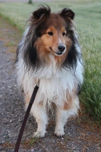 I got a little damp.