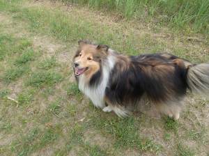 Come on Mama, hurry up!