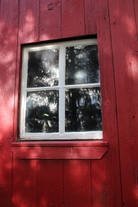 Memories stored behind the glass.