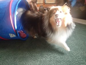 I'm laughing at my Aunt.