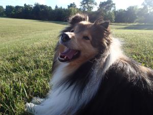 Just sitting with my Mama.