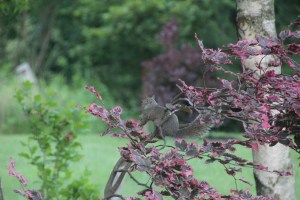 Imported Photos 00706