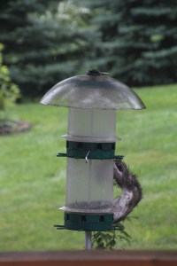 Imported Photos 00727