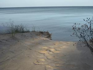 Watch the light change.