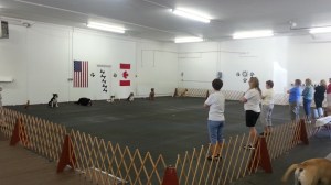 Katie sits like a good dog.