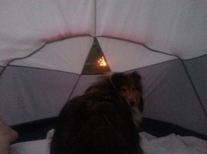 Watching the neighbor's campfire.