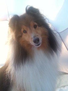 Hey Mama! You awake?