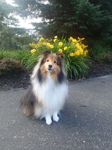 Mama's flowers.  And me.