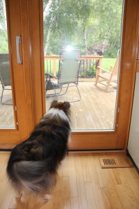 Imported Photos 00684