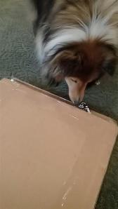 What's in here Mama?