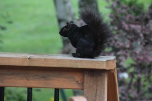 Imported Photos 00797