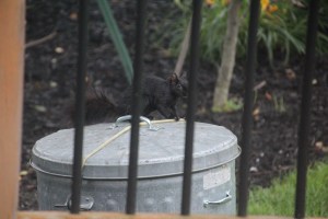 Imported Photos 00801