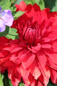 Hiding in plain sight