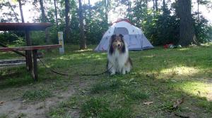 This is my campsite!