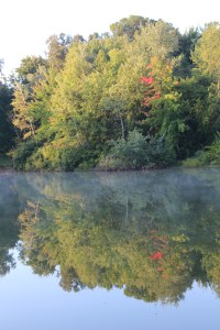 Imported Photos 00872