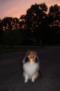 Got my mama up again!