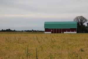 Red barn, green roof, yellow field.