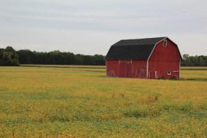 Ummm...red barn...you got the rest...