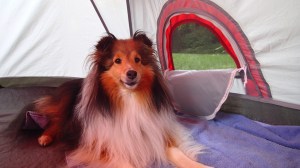 No devil horns on me!