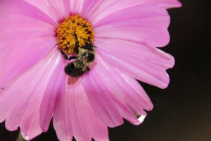 Imported Photos 01121