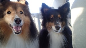 We sat in the back seat.  Together.