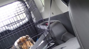 Just resting my eyes.