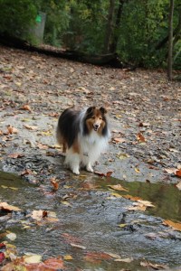 I don't get my feet wet either.  Just sayin.