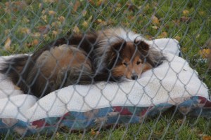 Imported Photos 01060