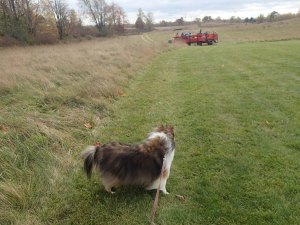 What the heck is that?