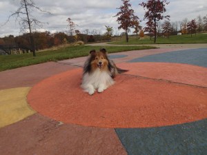 I found a dot that matches me Mama!