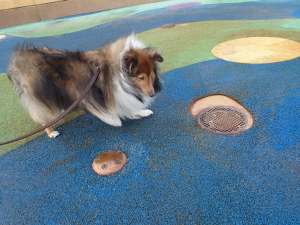 Scary!  Can we go now Mama?