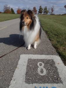 Look!  I went a long way! (kidding!)