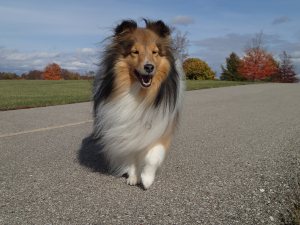 Yes I know I'm beautiful.