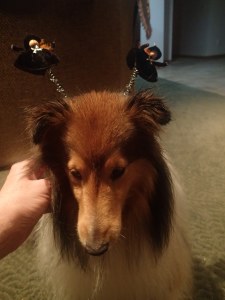 Awww..it's not so bad Katie!