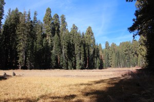 Imported Photos 00600