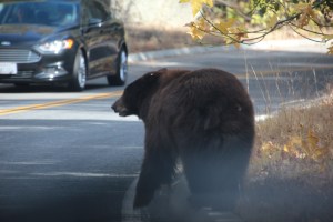 Imported Photos 00669