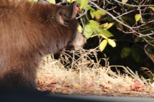 Imported Photos 00672