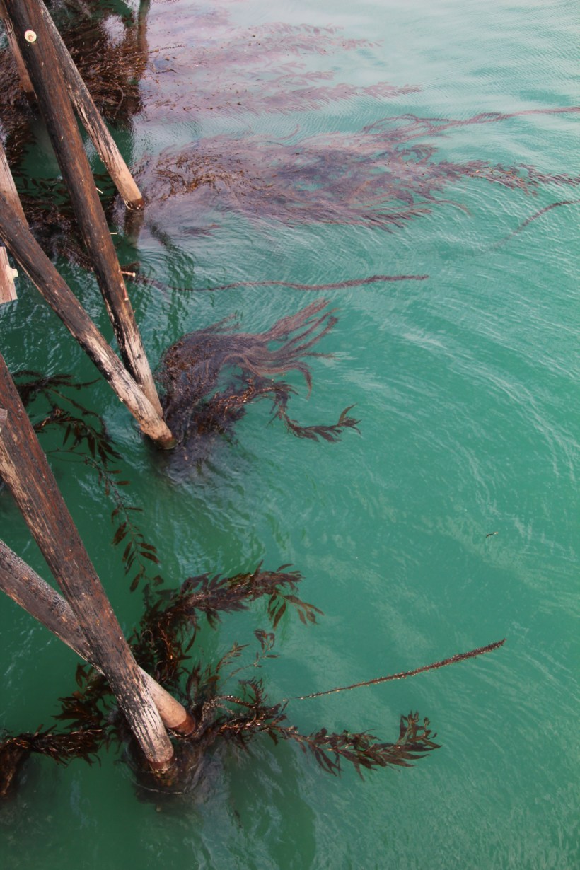 Imported Photos 00792