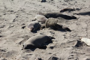 Imported Photos 01192